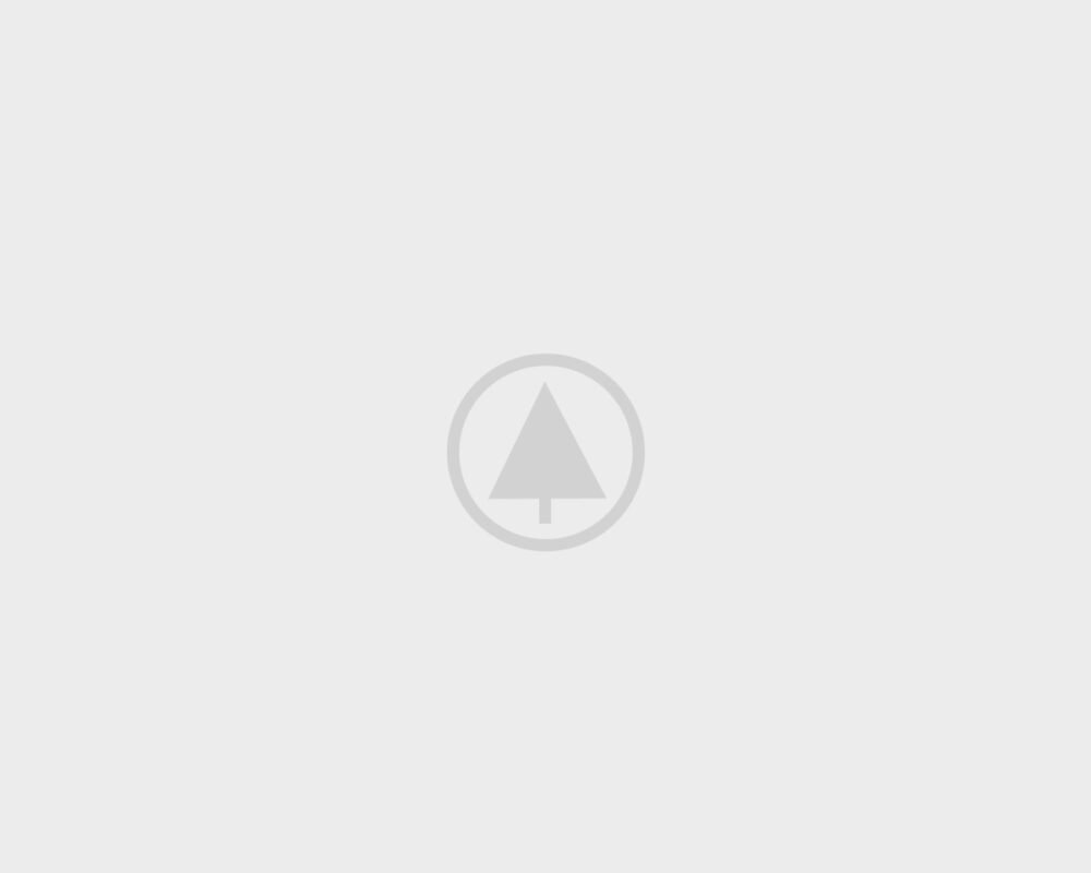 wood-gallery-placeholder-2