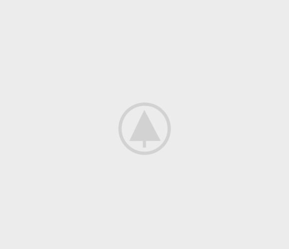 wood-portfolio-placeholder wood-portfolio-placeholder